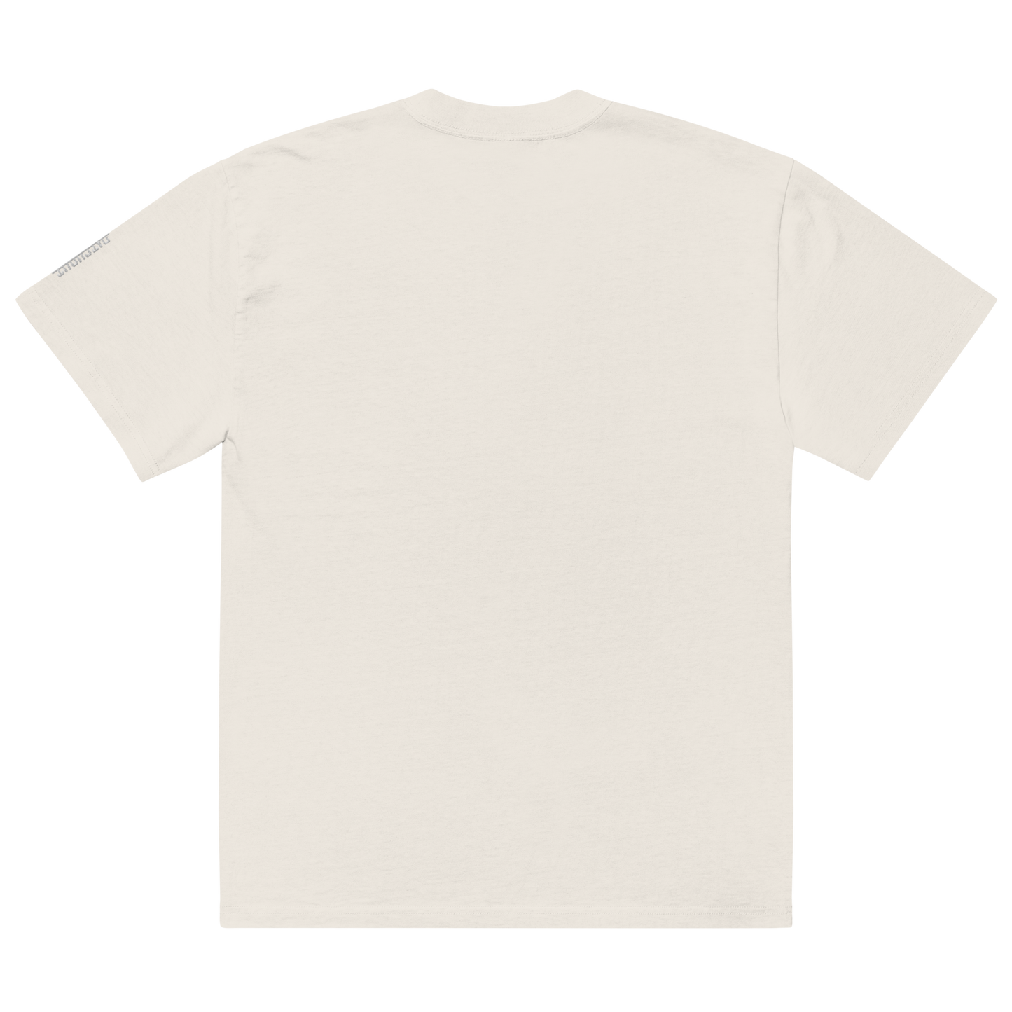 Oversized faded t-shirt Blue- Embroidery